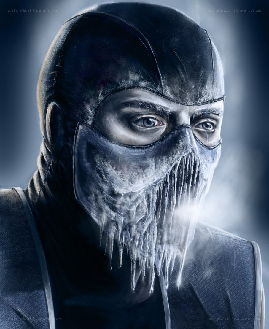 frozen ninja warrior