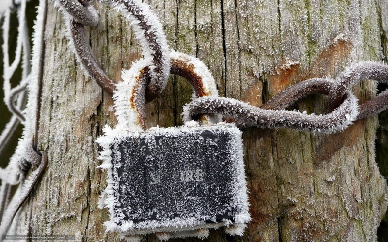 frozen padlock on tree