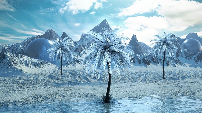 Frozen Palm Trees