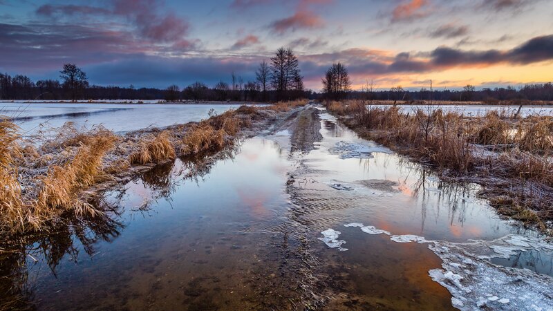 Frozen Path in Winter