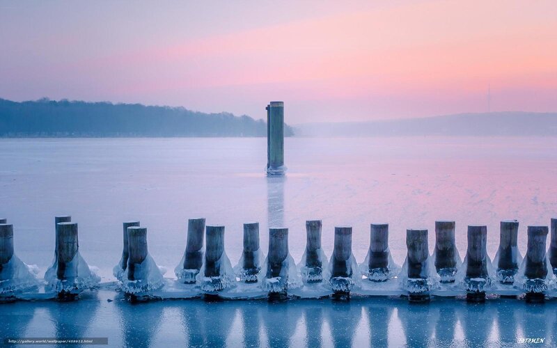 Frozen Pier Pilings — Pink