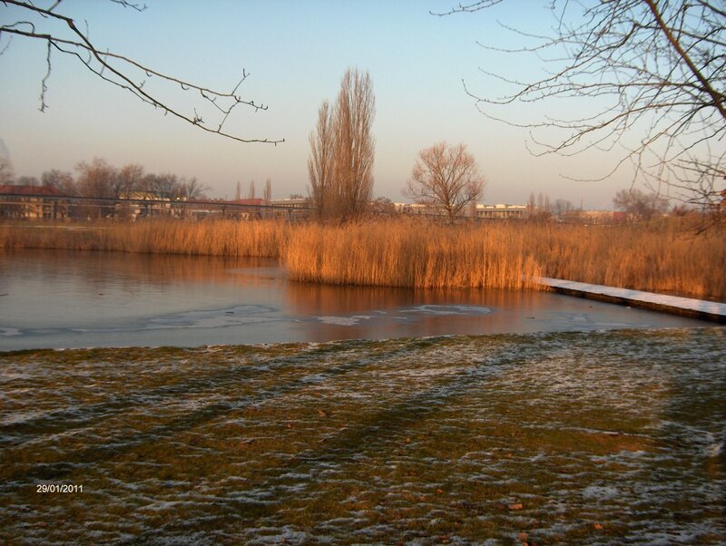 frozen pond at sunset