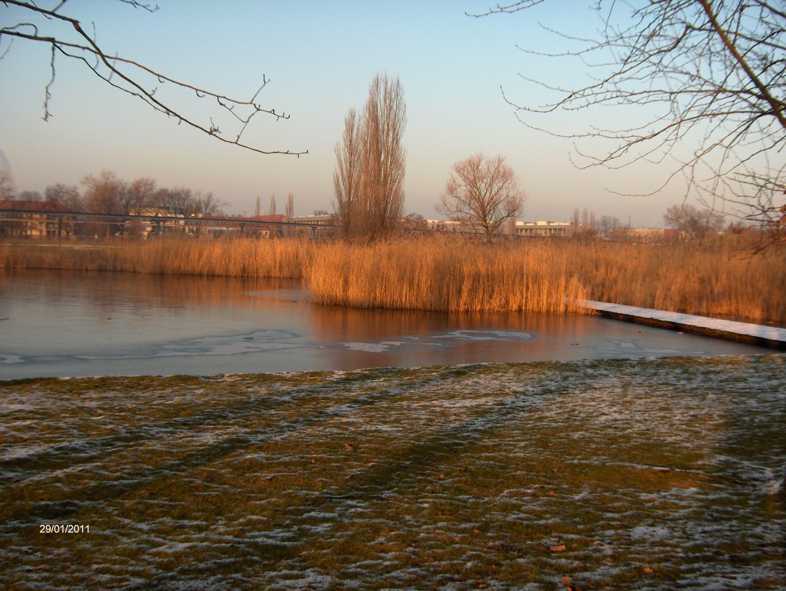 frozen pond at sunset