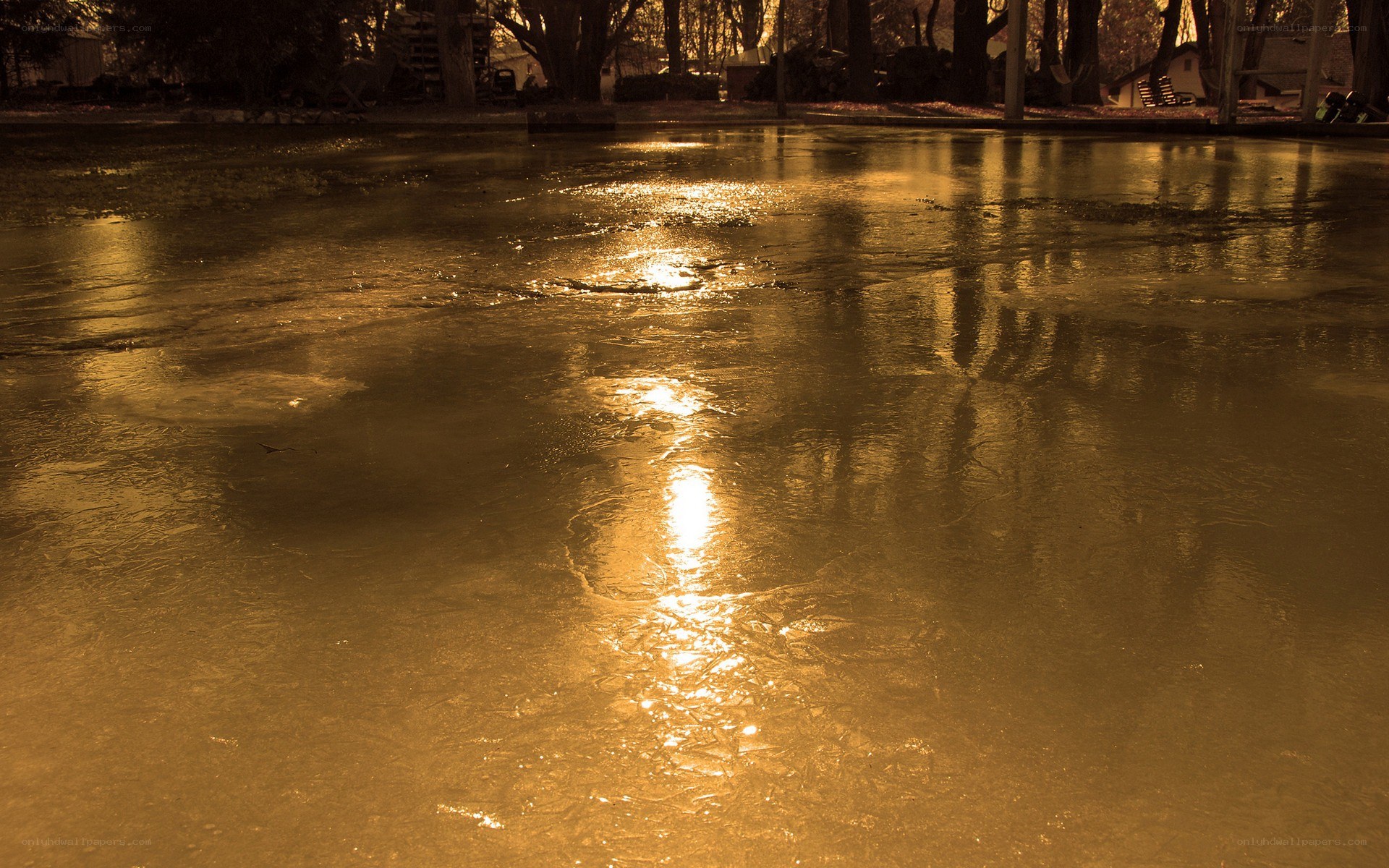 frozen pond at sunset