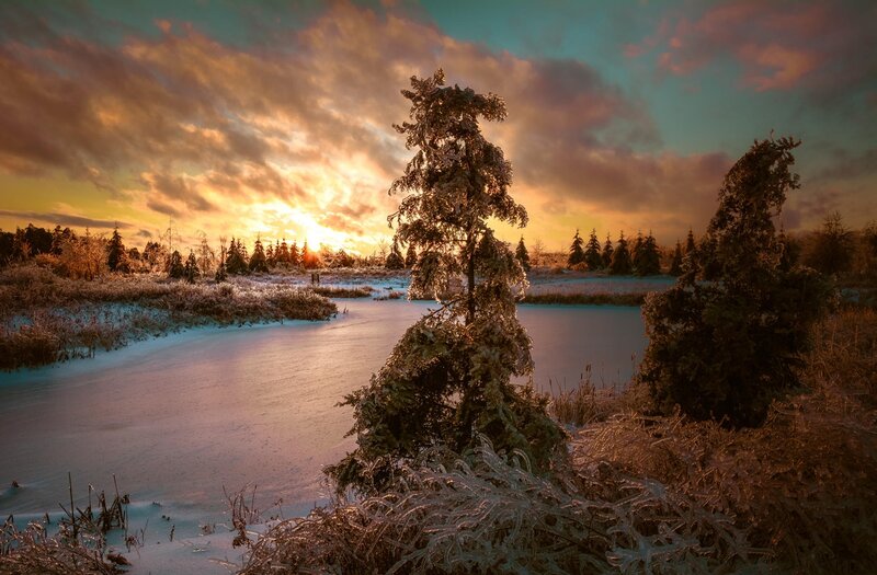 Frozen Pond at Sunset — Orange, Dramatic, Photograph, Trees, Snow