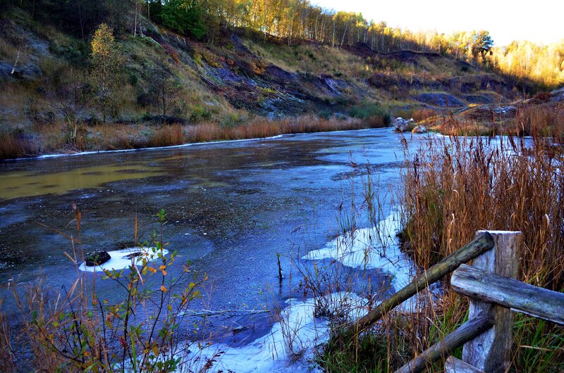 Frozen Pond in Autumn