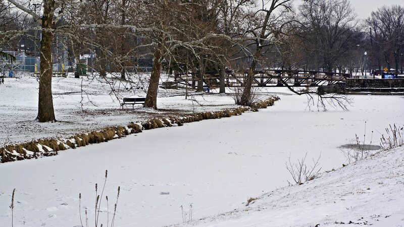 Frozen Pond in Park