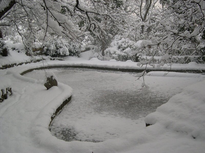 Frozen Pond in Snow