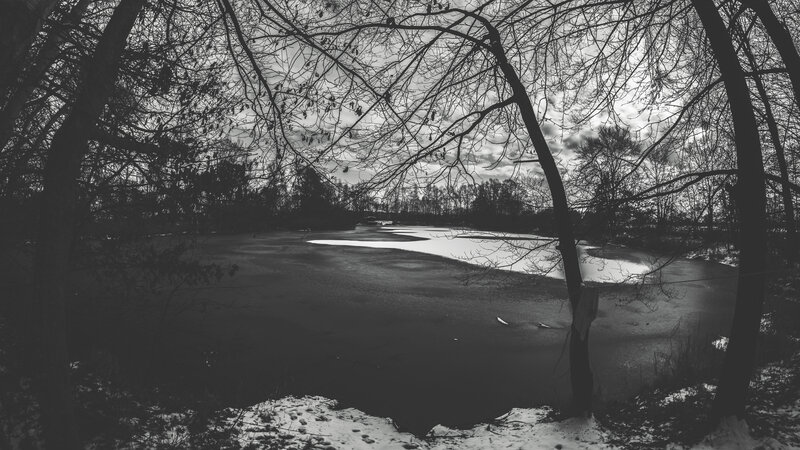 Frozen Pond in Winter — Black