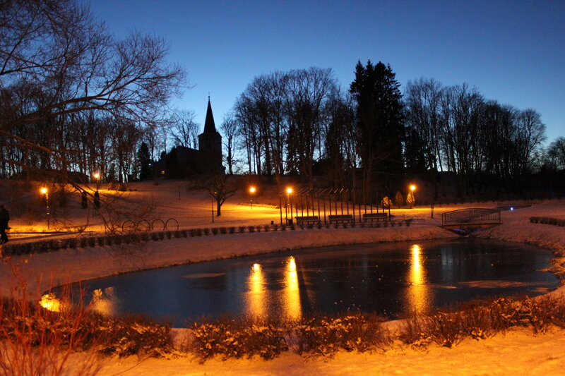 Frozen Pond in Winter — Blue, Serene, Night