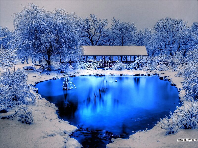 Frozen Pond in Winter — Blue, Serene
