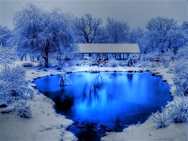 Frozen Pond in Winter — Blue