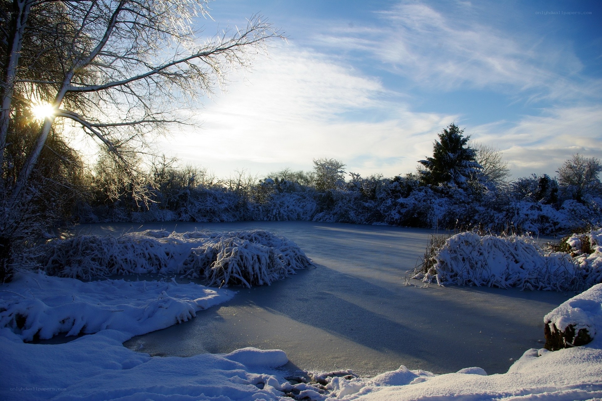 Frozen pond in winter sunlight