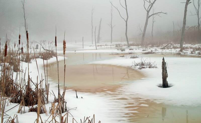 Frozen Pond in Winter — White