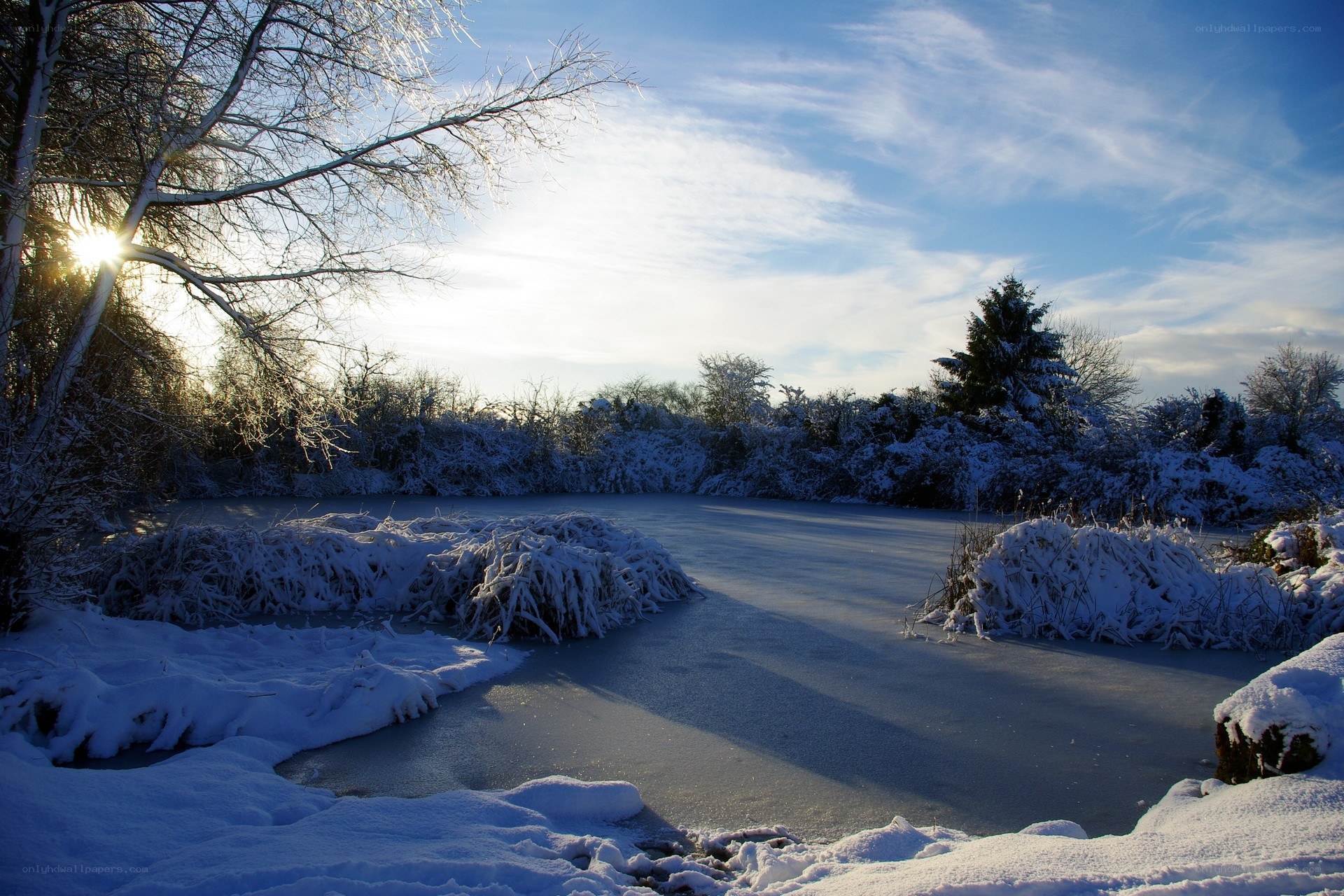 frozen pond in winter