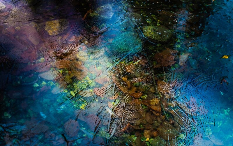 Frozen Pond Surface