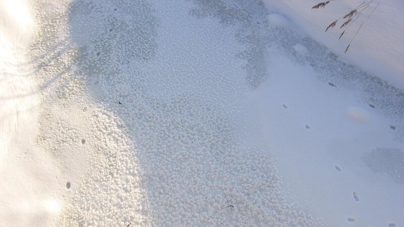 frozen pond with ice bubbles
