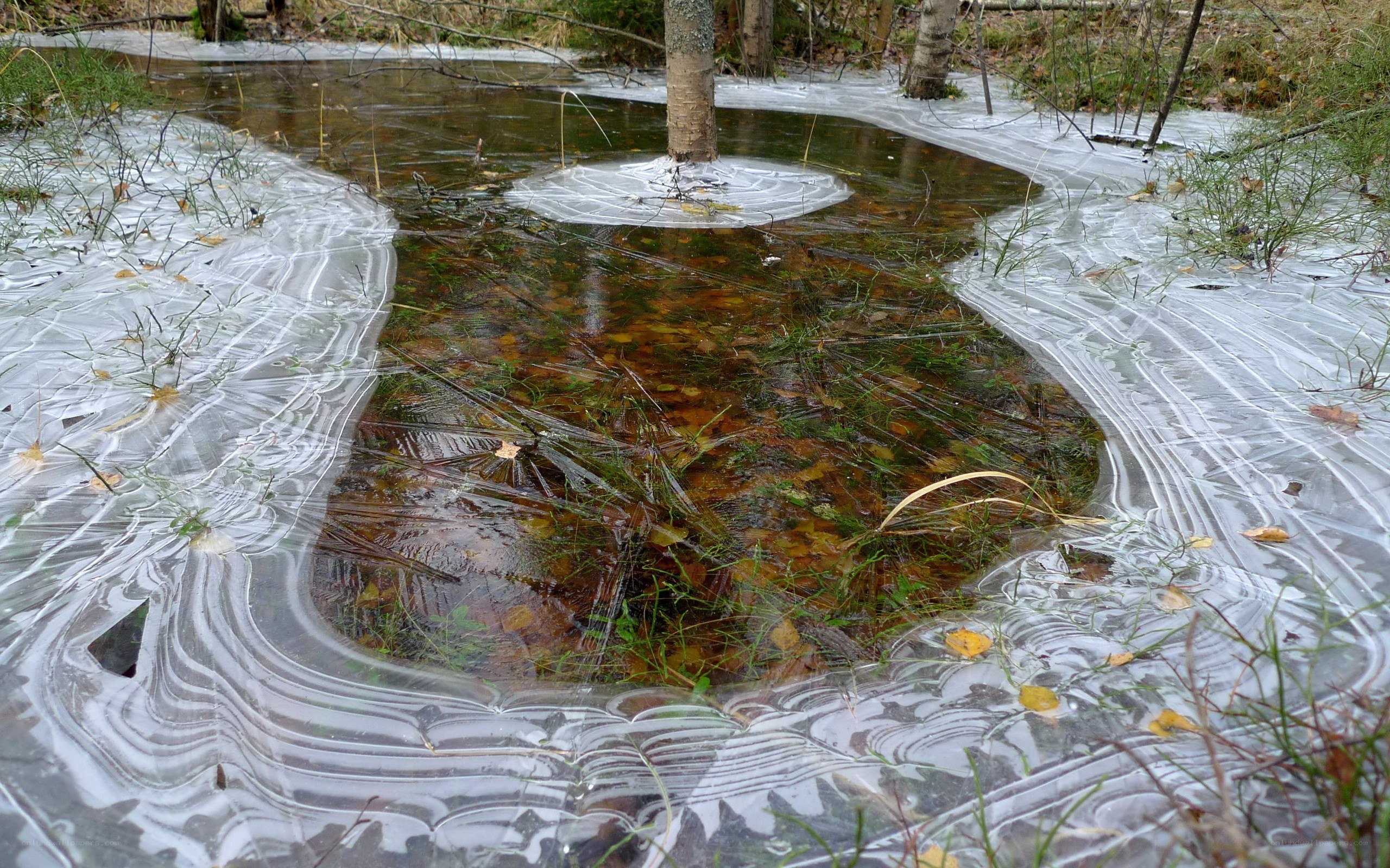 Frozen pond with ice patterns