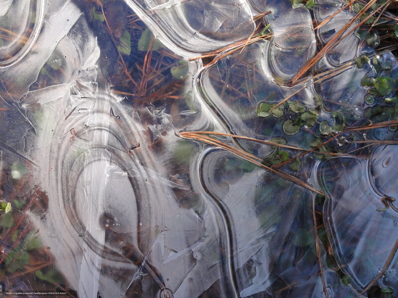 Frozen pond with ice patterns