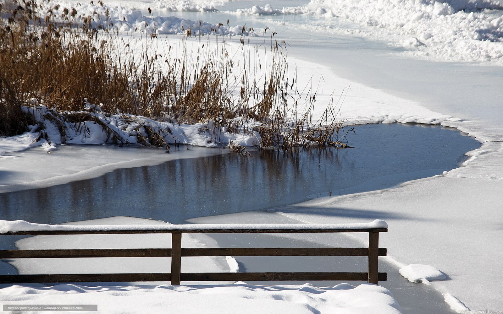 Frozen pond with reeds and bench