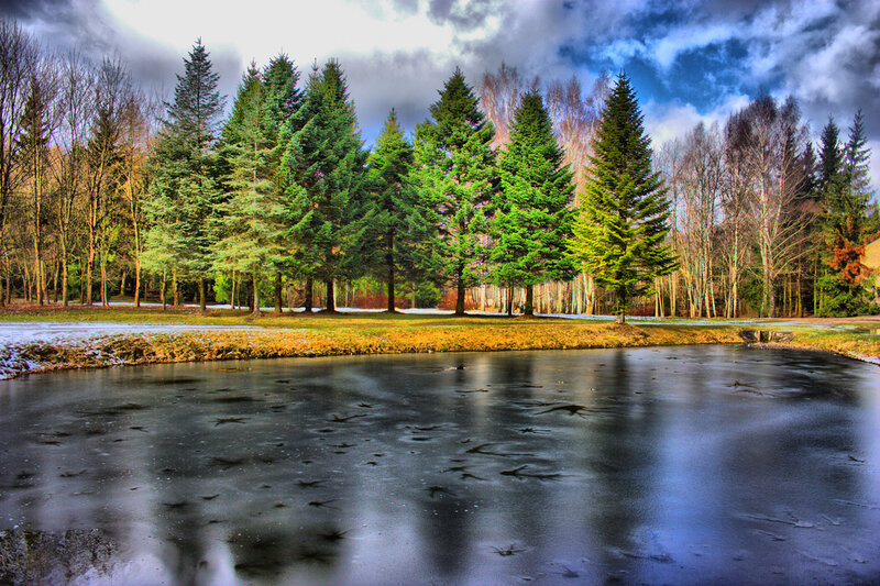 Frozen Pond with Trees — Green