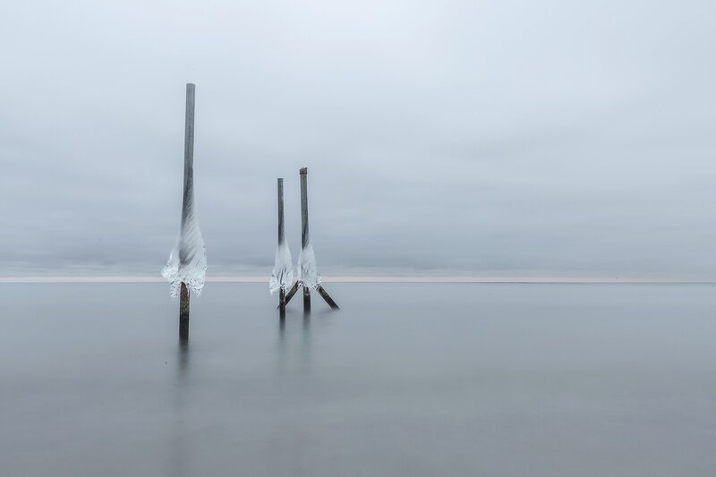 Frozen Posts in Calm Water