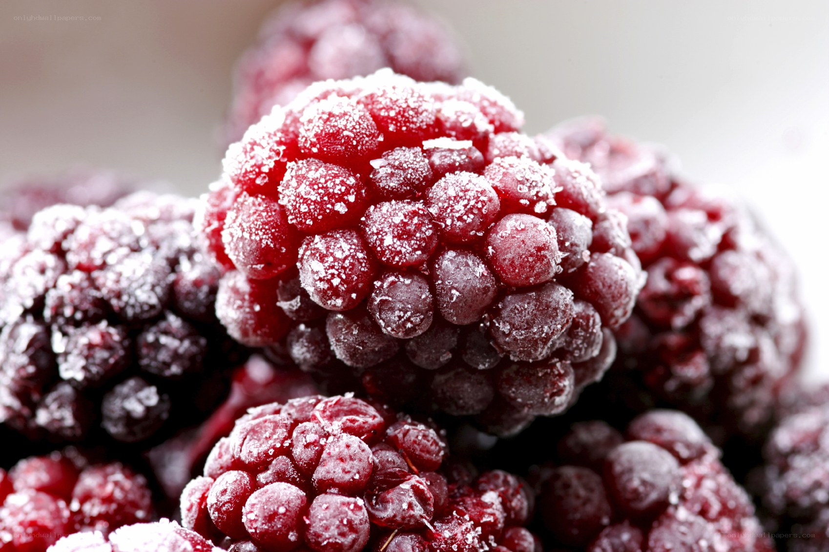 frozen raspberries close-up