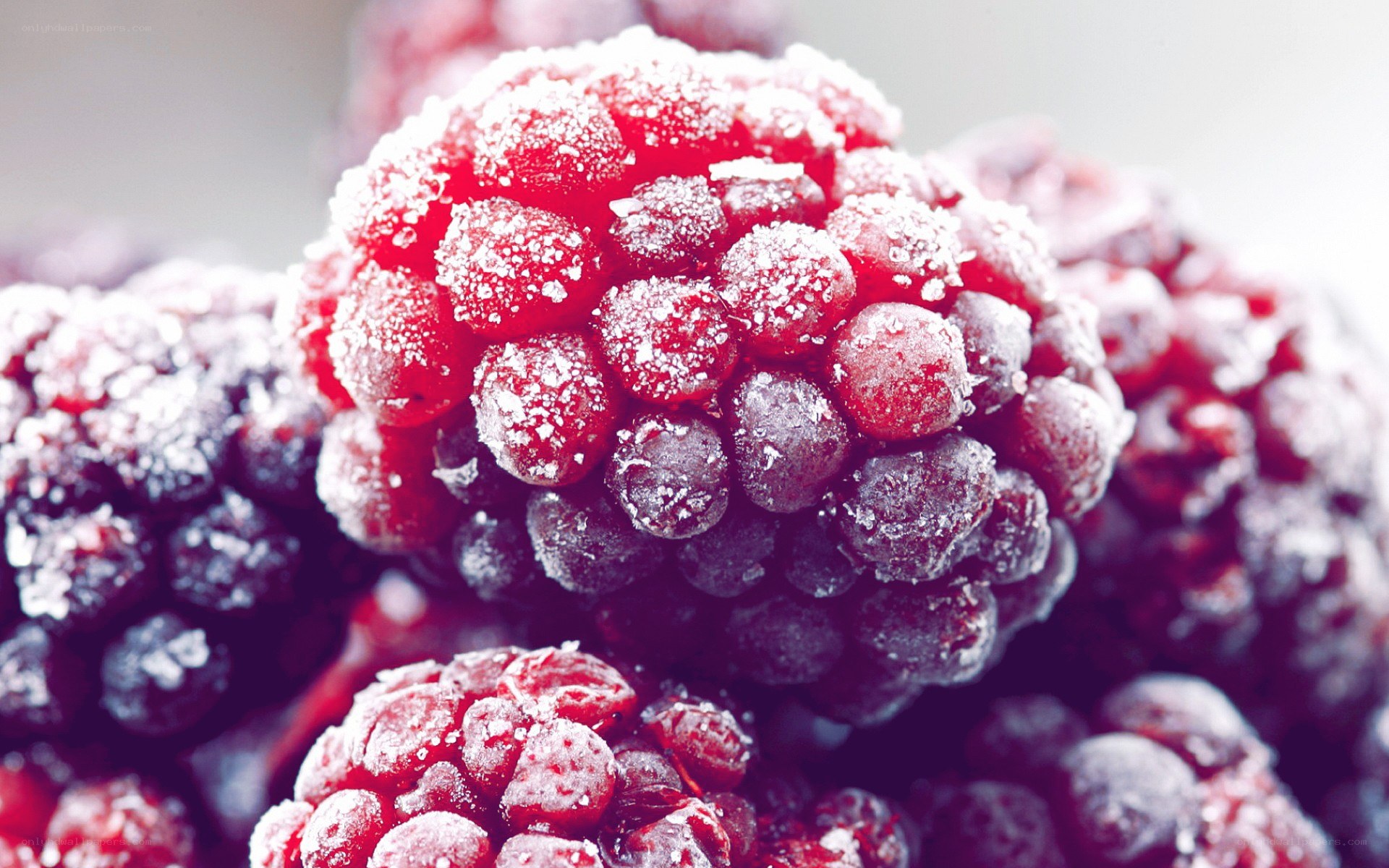 frozen raspberries close-up