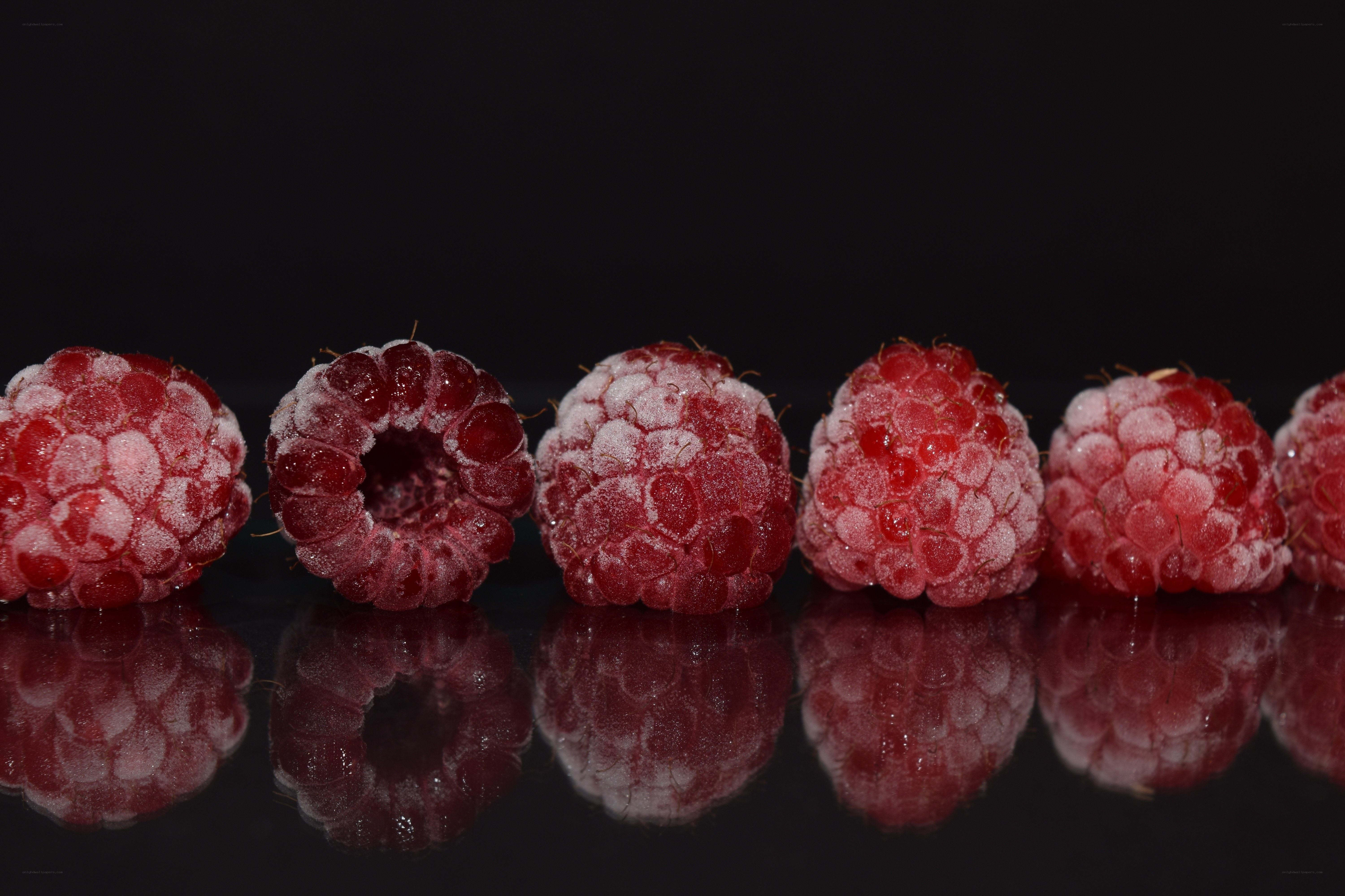 Frozen raspberries in a row