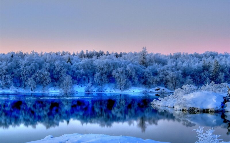 Frozen River and Forest