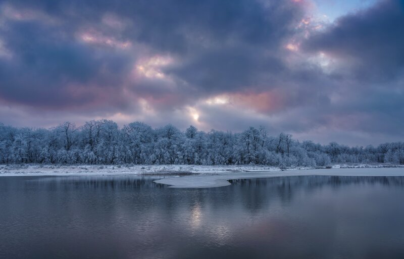 Frozen River and Trees — Blue