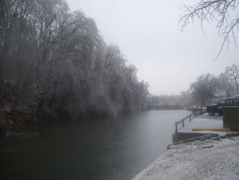 Frozen River and Trees — Gray