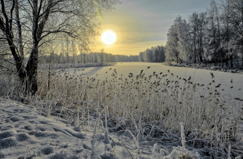 Frozen River at Sunrise — White, Serene, Winter, Photograph, Trees