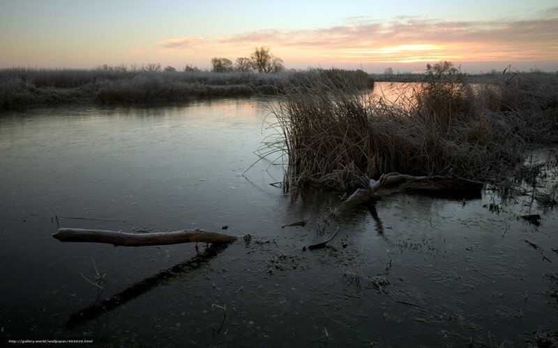 Frozen River at Sunset — Orange, Serene, Photograph, Reeds