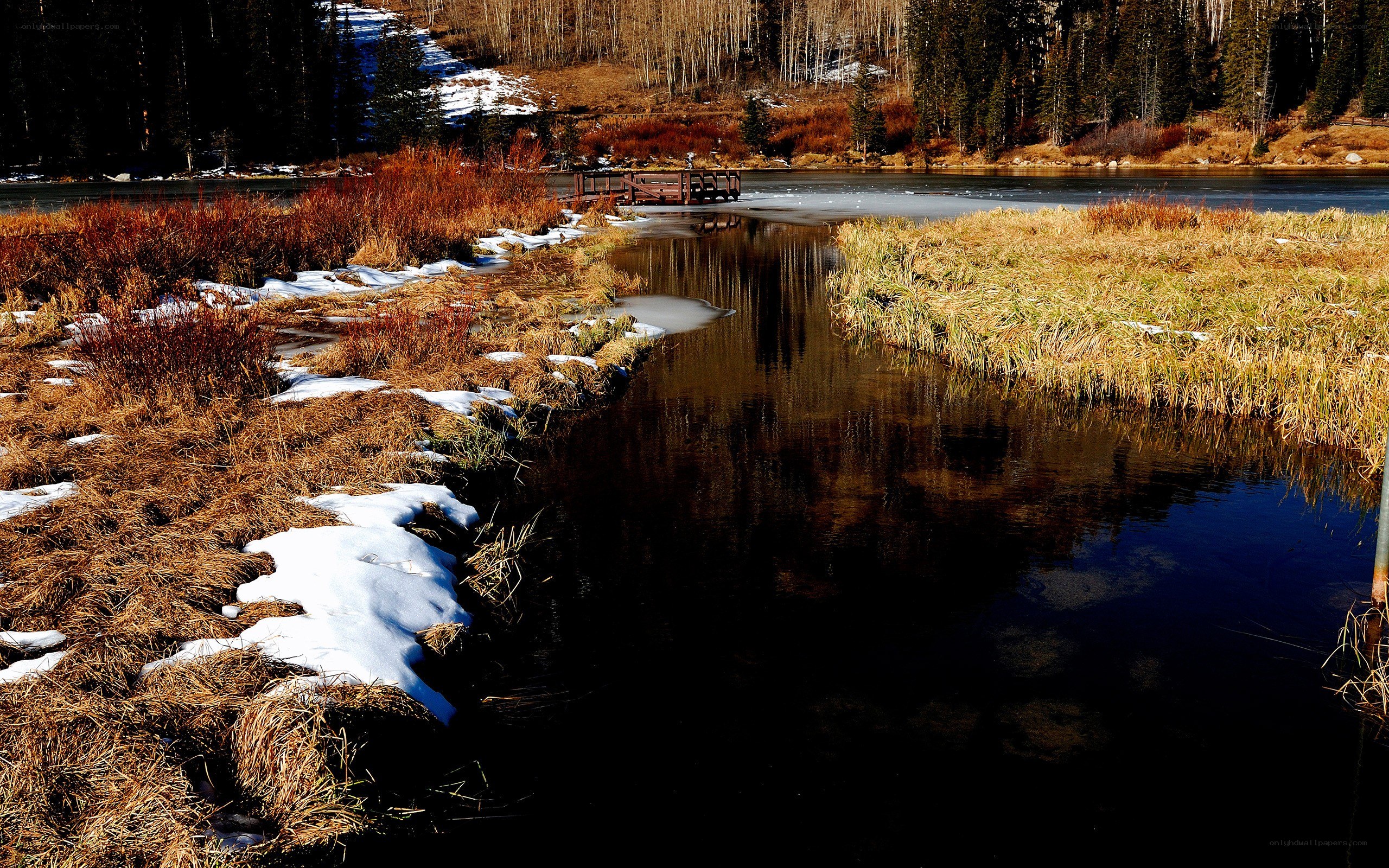 Frozen river in autumn forest