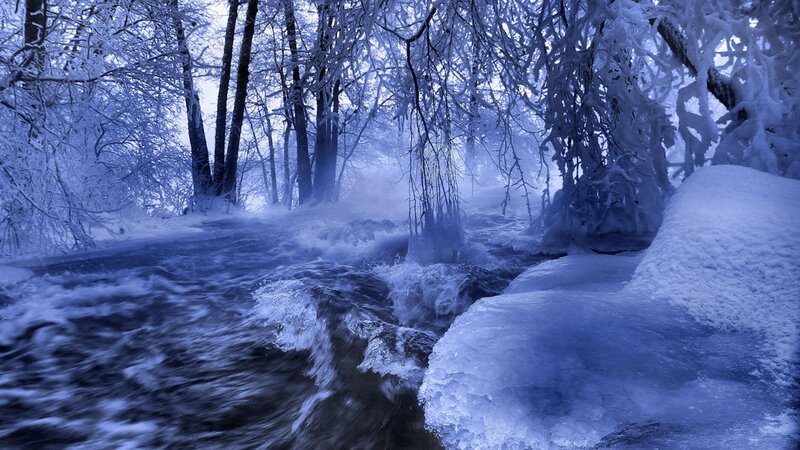 Frozen River in Forest — Blue, Cold, Winter, Photograph