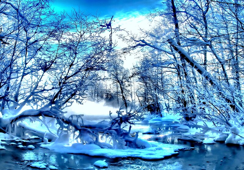 Frozen River in Forest — Blue, Cold, Winter, Photograph, Trees, Snow, Mist