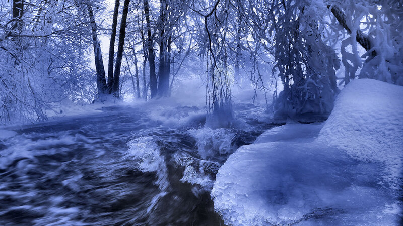 Frozen River in Forest — Blue, Cold, Winter, Photograph, Trees, Snow