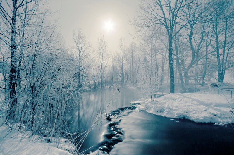 Frozen River in Forest — Blue, Cold, Winter, Photograph, Trees