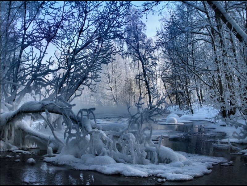 Frozen River in Forest — Blue, Cold, Winter