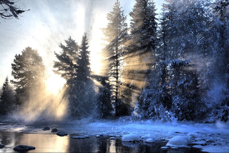 Frozen River in Forest — Blue, Dramatic