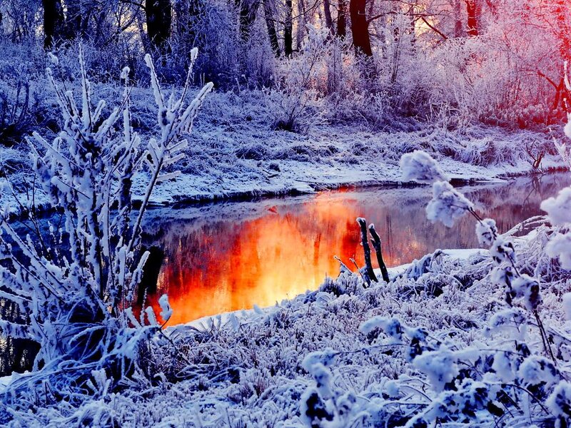 Frozen River in Forest — Blue, Dramatic, Winter