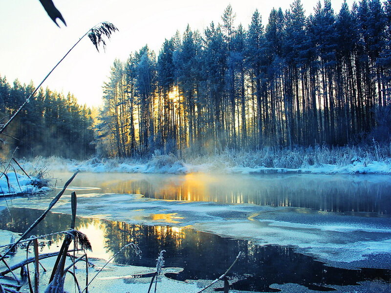 Frozen River in Forest — Blue, Serene