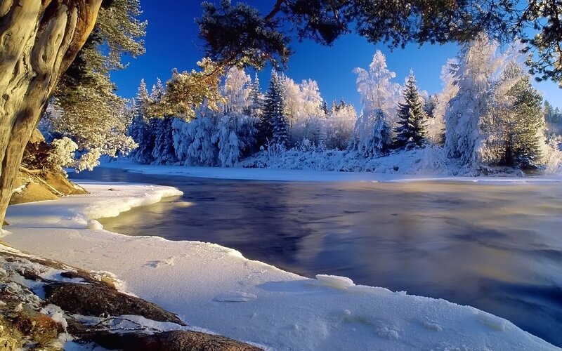 Frozen River in Forest — Blue, Serene, Winter, Photograph, Snow