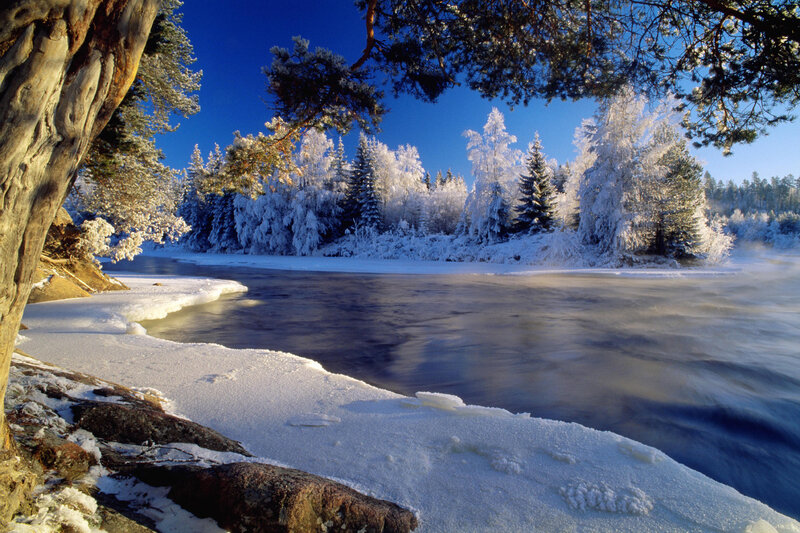 Frozen River in Forest — Blue, Serene, Winter, Photograph, Snow, Trees, Sky, White