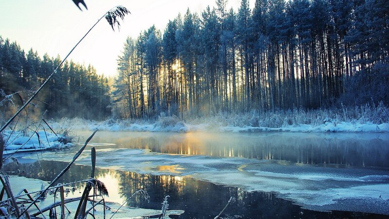 Frozen River in Forest — Blue, Serene, Winter, Photograph