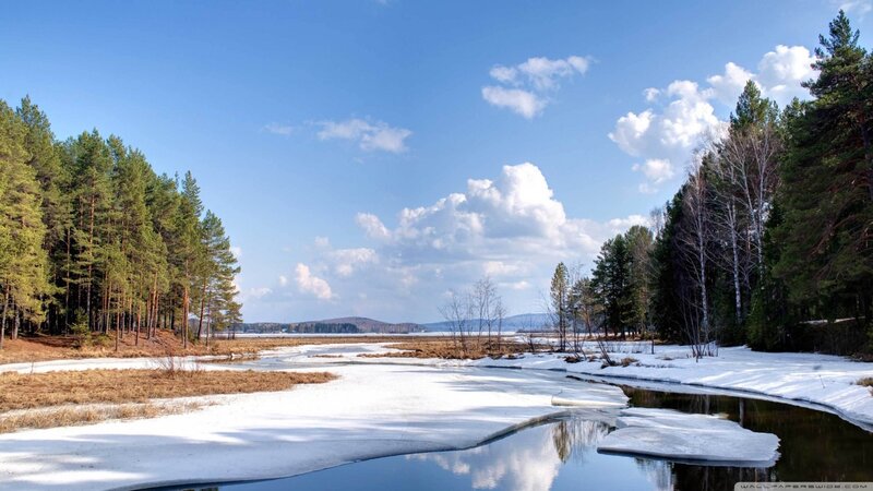 Frozen River in Forest — Blue, Serene, Winter, Photograph, Trees, Snow