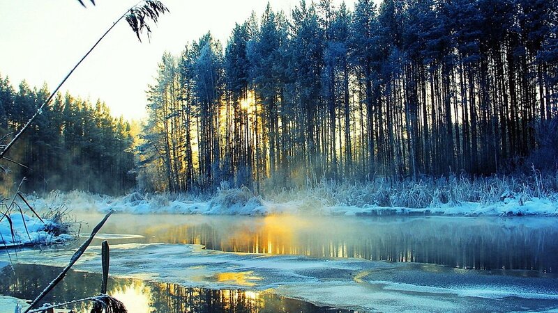 Frozen River in Forest — Blue, Serene, Winter, Photograph, Trees, Sunlight