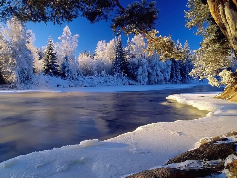 Frozen River in Forest — Blue, Serene, Winter, Photograph, Trees