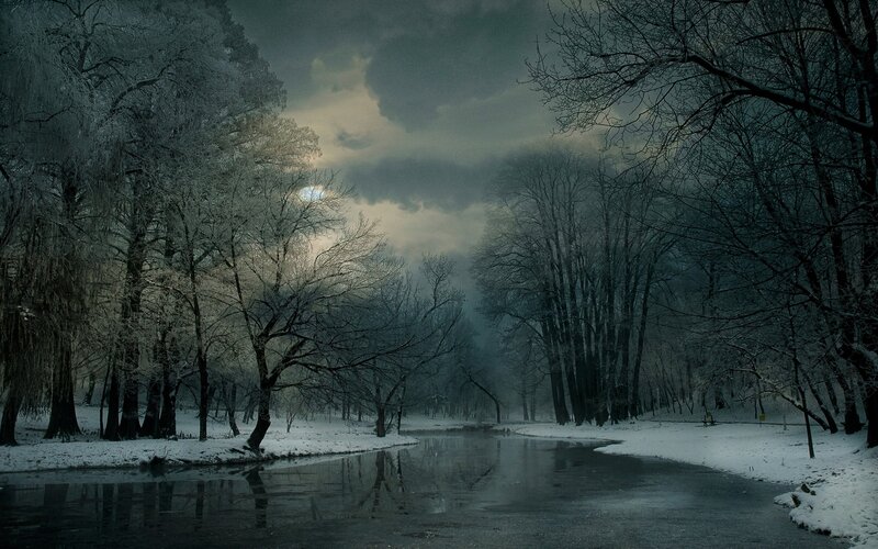 Frozen River in Forest — Gray